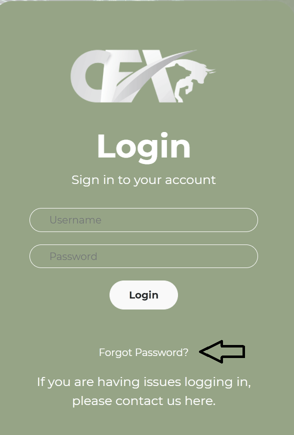 click on forgot password in cash fx login page