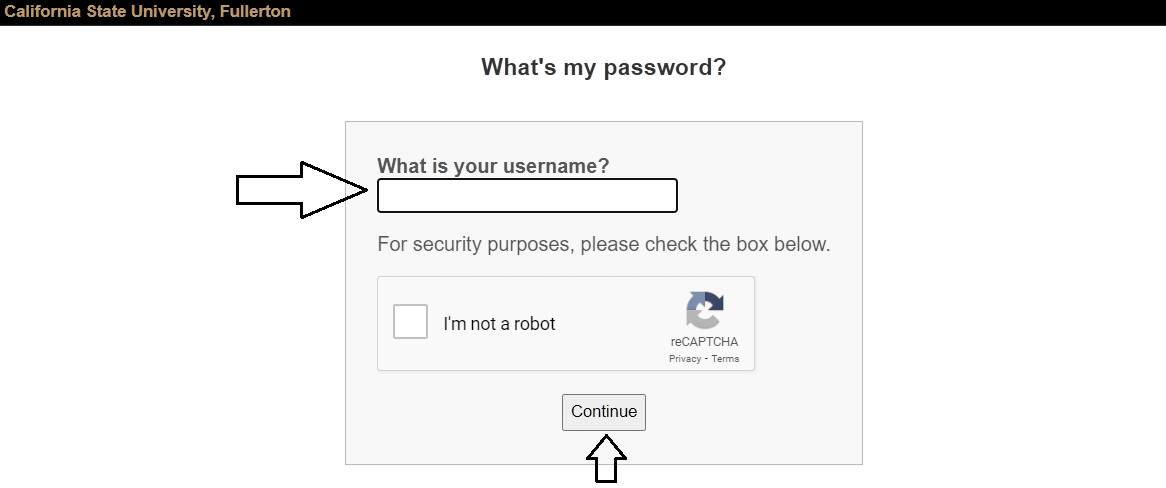 enter username to reset csuf portal login password