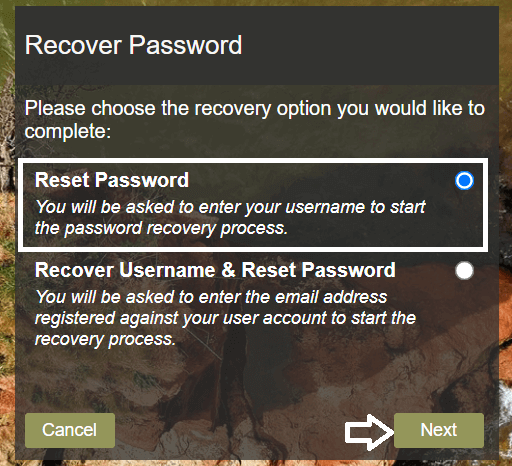 select reset password and click on next