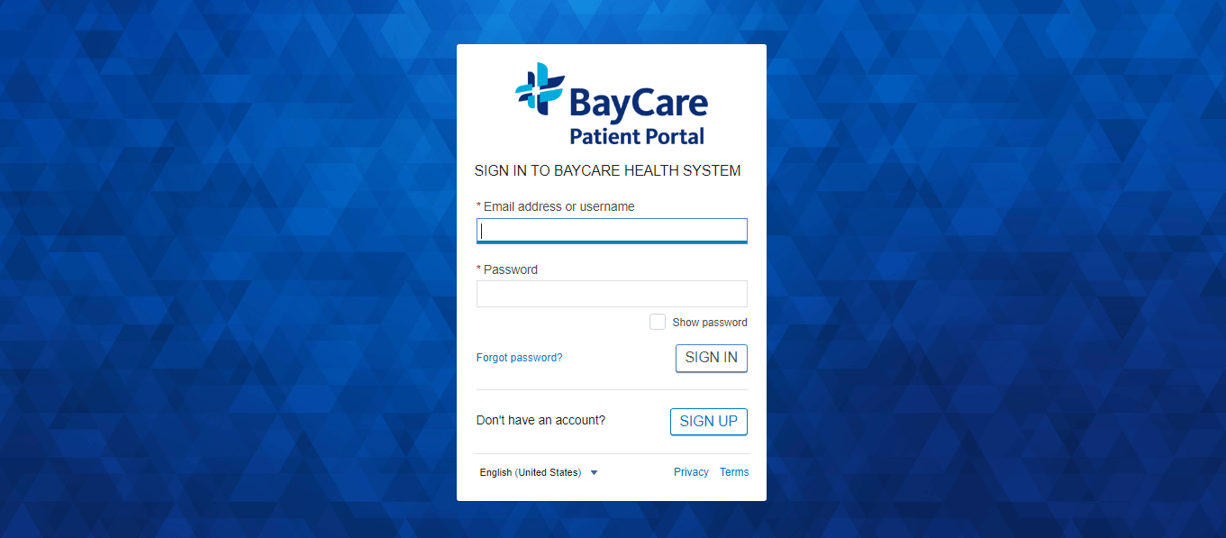 baycare patient portal login
