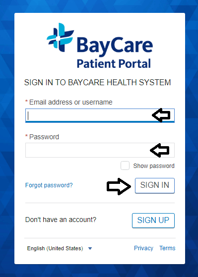 login to baycare patient portal account