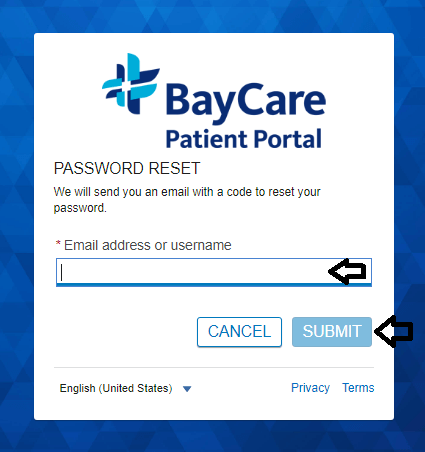 reset baycare patient portal login password