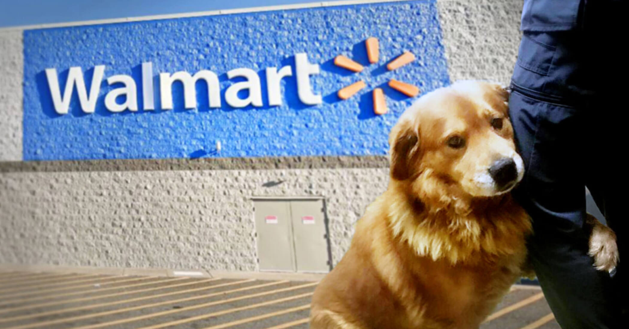Are Dogs Allowed in Walmart?