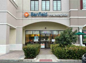 banfield pet hospital survey